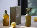 Kinder Kitchen Set, 100% Natural Cleaning Combo by Ashley & Co