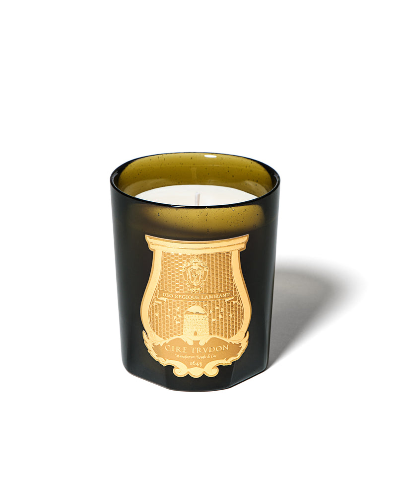 Cire Trudon - Solis Rex Scented Candle - Candle Gold Label