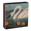 Common American Swan Matches by Archivist