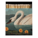 Common American Swan Matches by Archivist