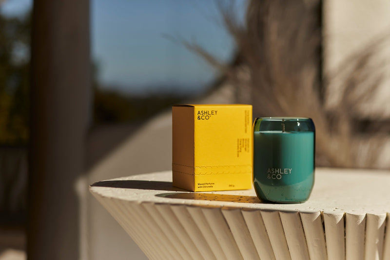 Ashley & Co | Tui & Kahili Outdoor Edition Scented Candle | Scent Lounge | Blue Glass Candle Lifestyle Image