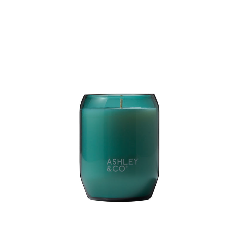 Ashley & Co | Tui & Kahili Outdoor Edition Scented Candle | Scent Lounge | Blue Glass Candle White Background