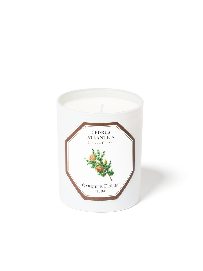 Cedar Scented Candle by Carriere Freres
