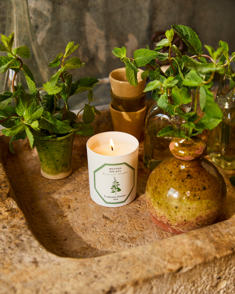 Spearmint Scented Candle by Carriere Freres
