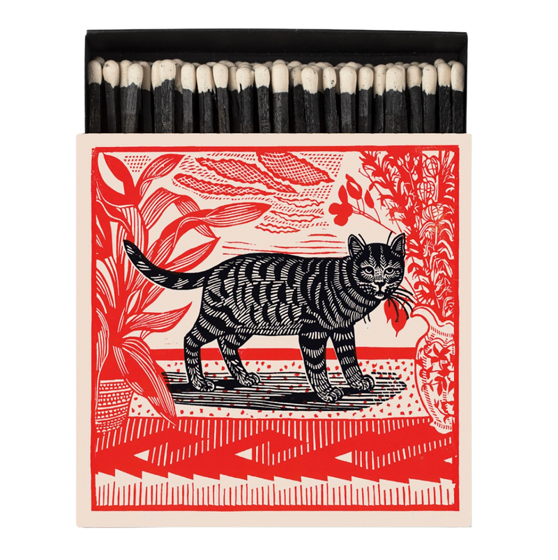 Sasha The Cat Safety Matches by Archivist