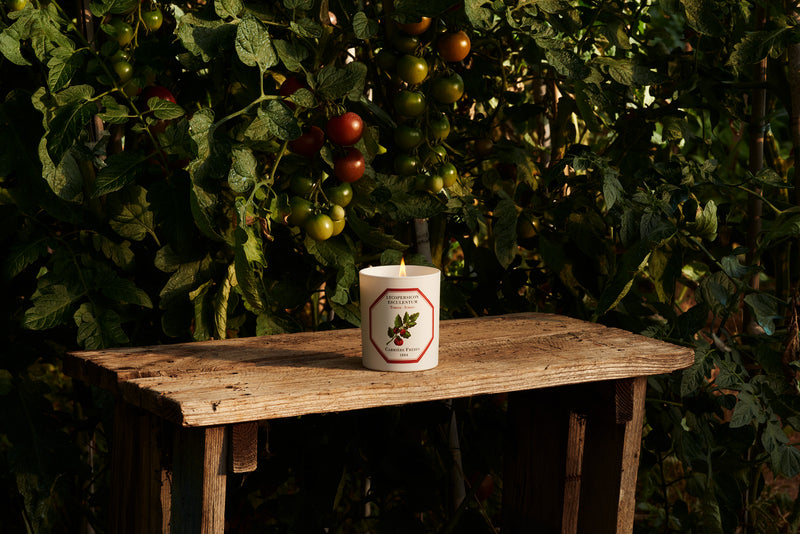 Tomato Scented Candle by Carriere Freres