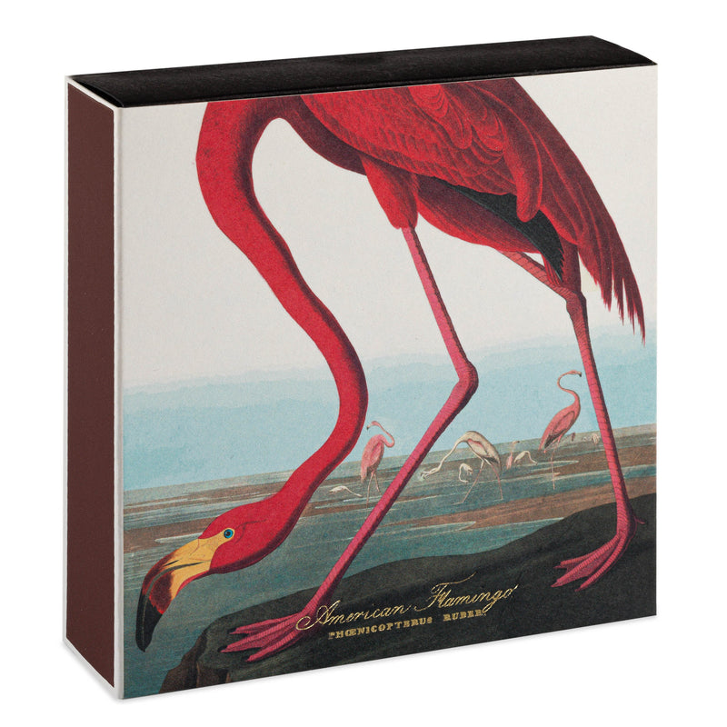 The American Flamingo Matches by Archivist