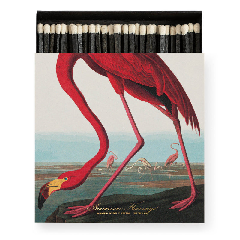 The American Flamingo Matches by Archivist