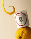Yuzu Scented Candle by Carriere Freres