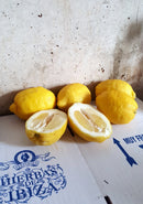 Hierbas de Ibiza | Reed Diffuser | Scent Lounge | Lemons Lifestyle Image