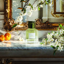 Absolu Perfume by Trudon