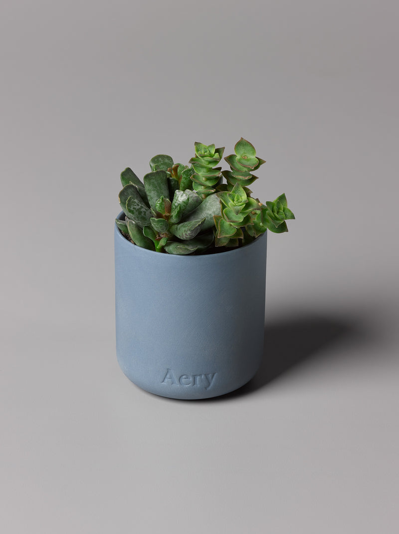 Aery | Japanese Garden Scented Candle | Scent Lounge | Lifestyle Clay Pot
