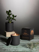 Indian Sandalwood Reed Diffuser by Aery Living