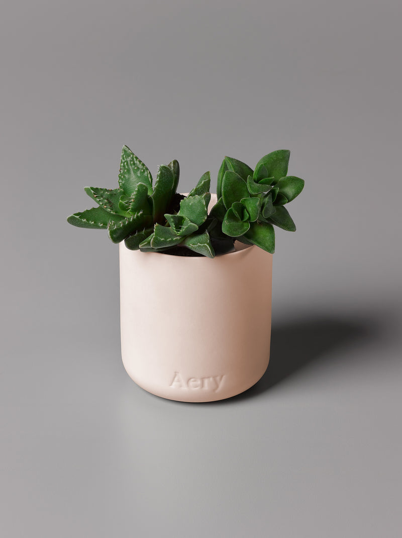 Aery | Parisian Rose Scented Candle | Scent Lounge | Lifestyle Clay Pot