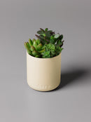 Aery | Himalayan Cedarleaf Scented Candle | Scent Lounge | Lifestyle Clay Pot