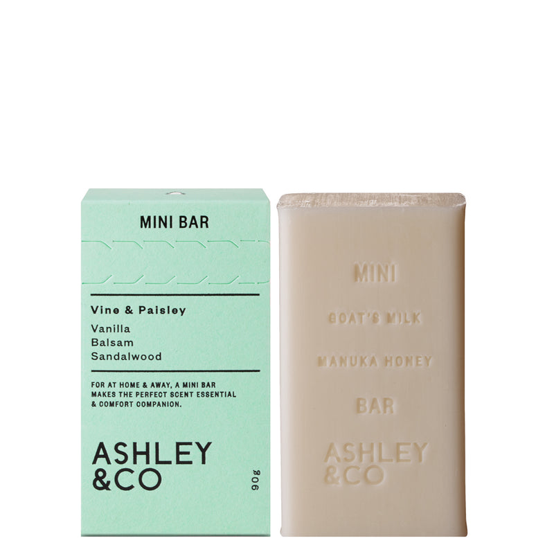 Vine & Paisley Mini Bar, Cleansing Soap Bar by Ashley & Co - Soap and Box