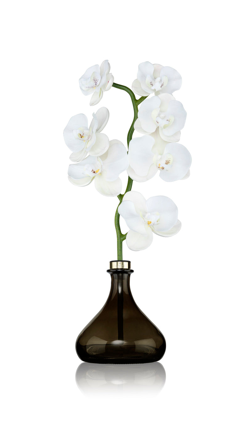 Senti | White Flowers Orchid Diffuser | Scent Lounge | Large Diffuser & Flower, White Background