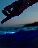 Mareld Perfume by Björk & Berries