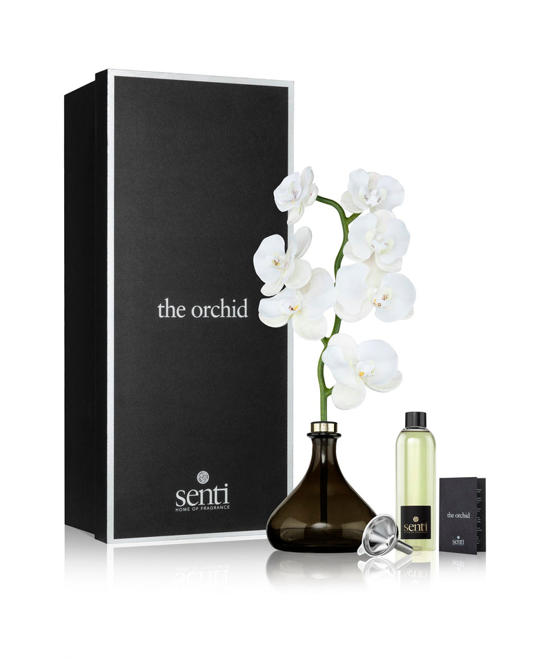 Senti | White Flowers Orchid Diffuser | Scent Lounge | Large Diffuser & Flower by Box