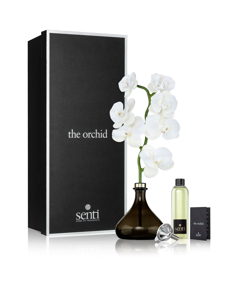 Senti | Bergamot & Ginger Orchid Diffuser | Scent Lounge | Large Diffuser & Flower by Box