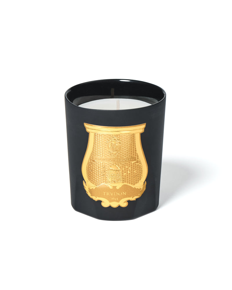 Mary Scented Candle by Trudon