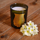 Cire Trudon - Joséphine Scented Candle - Candle Gold Label Lifestyle