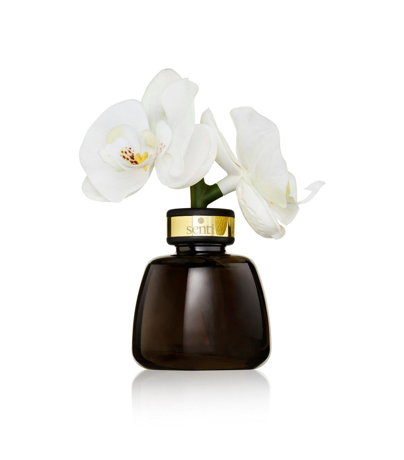 Senti | Amber & Oud Little Orchid Diffuser | Scent Lounge | Diffuser & Flower, White Background