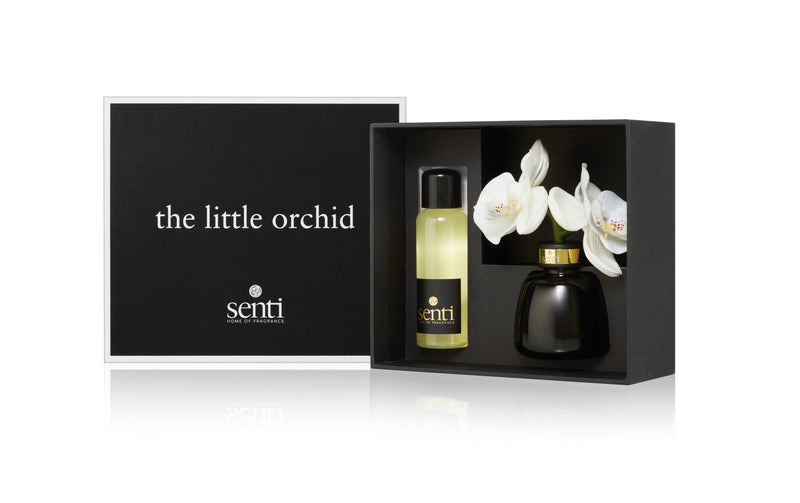 Senti | Amber & Oud Little Orchid Diffuser | Scent Lounge | Diffuser & Flower in Box