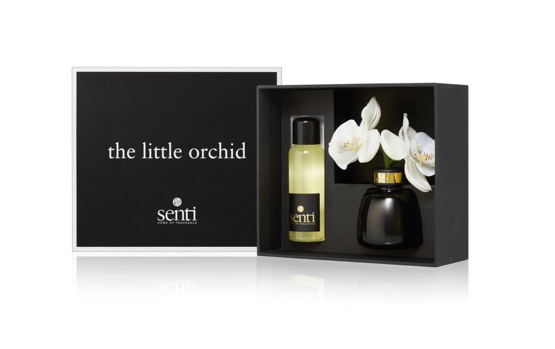 Senti | White Flowers Little Orchid Diffuser | Scent Lounge | Diffuser & Flower in Box